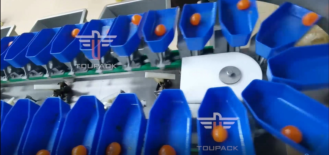 Layar Sentuh Multi Grade Circular Weight Sorting Machine Untuk Buah Ikan Kuning