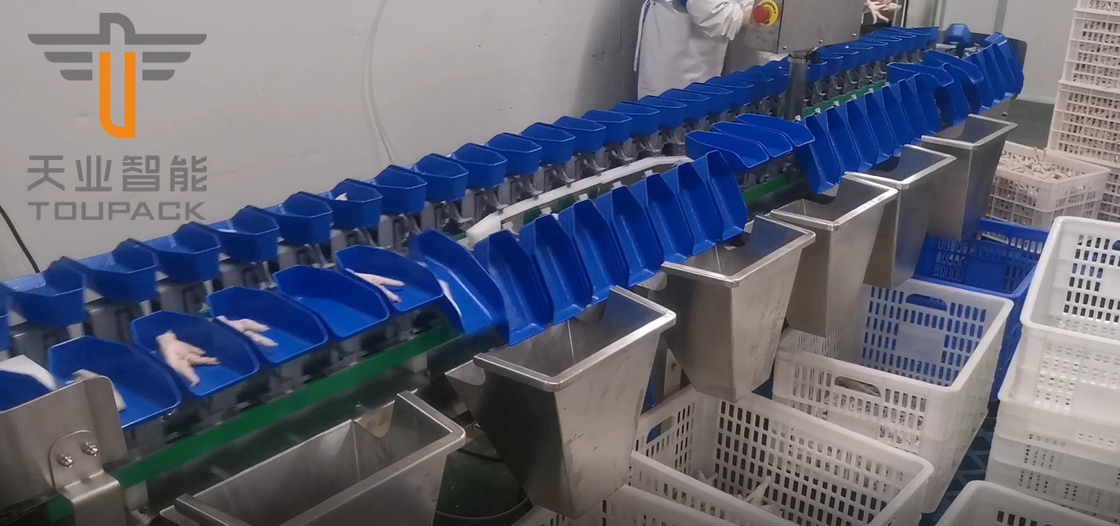 Layar Sentuh Multi Grade Circular Weight Sorting Machine Untuk Buah Ikan Kuning