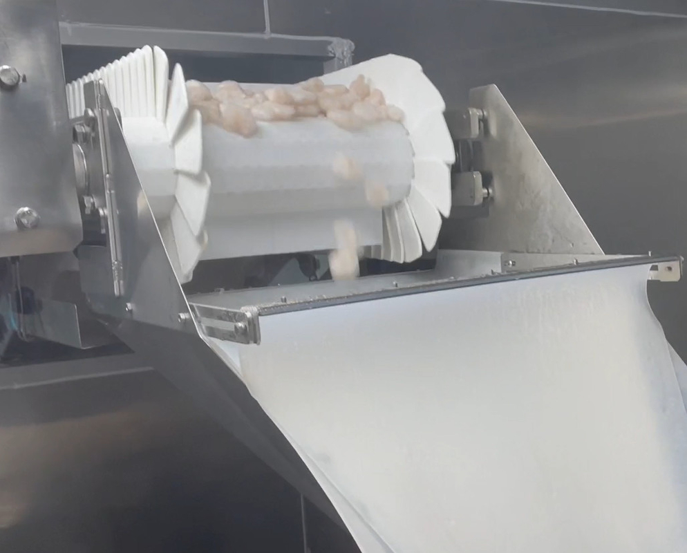 SS 304 Weigher Packing Machine Icy Shrimp Workshop Packing System Target Berat 200g ~ 1500g