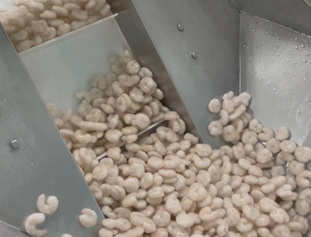 SS 304 Weigher Packing Machine Icy Shrimp Workshop Packing System Target Berat 200g ~ 1500g