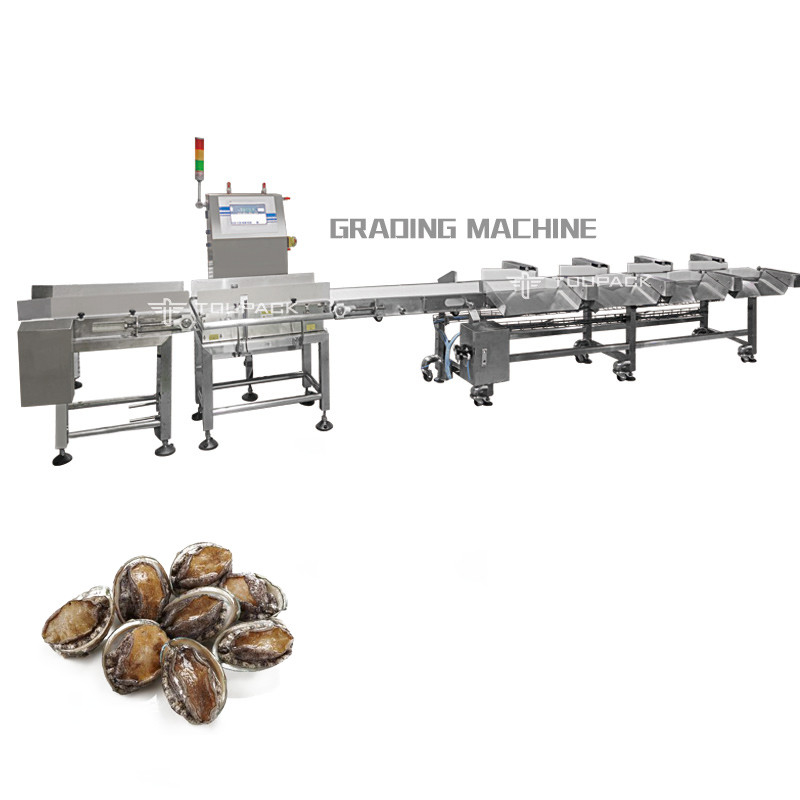 Mesin Penyortir Berat Otomatis Industri Conveyor Belt Ayam Udang Buah Sayuran Penyortir Berat