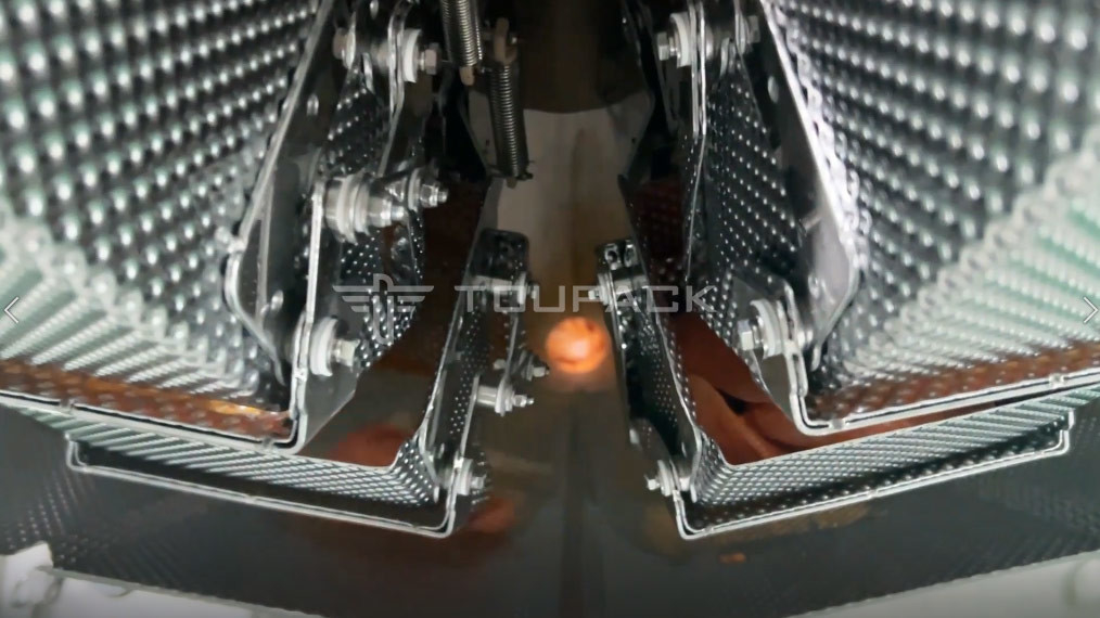 Automatic Screw Feeder Combination Weigher Mengisi Makanan Lemak Daging Marinasi Sayap Ayam Multihead Weigher