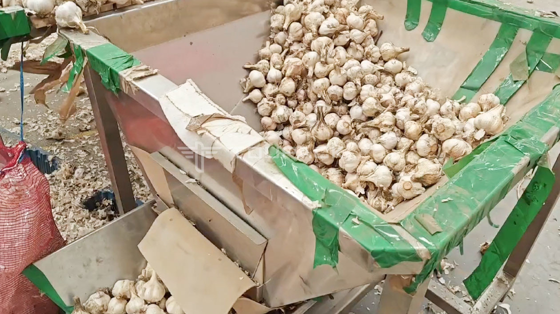 OEM Otomatis Mesin Menimbang Pouch Bean Sprout Koriander Kentang Bawang Putih Baby wortel Packing Machine