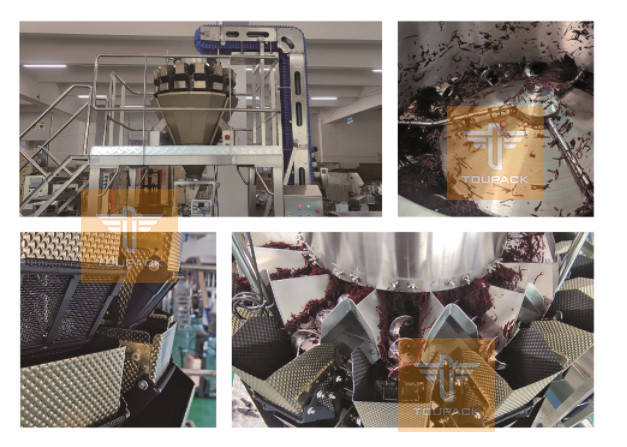 Rumput cincang Sistem menimbang dan mengisi Daging segar 14 Kepala Sekrup Pakan Multihead Weigher
