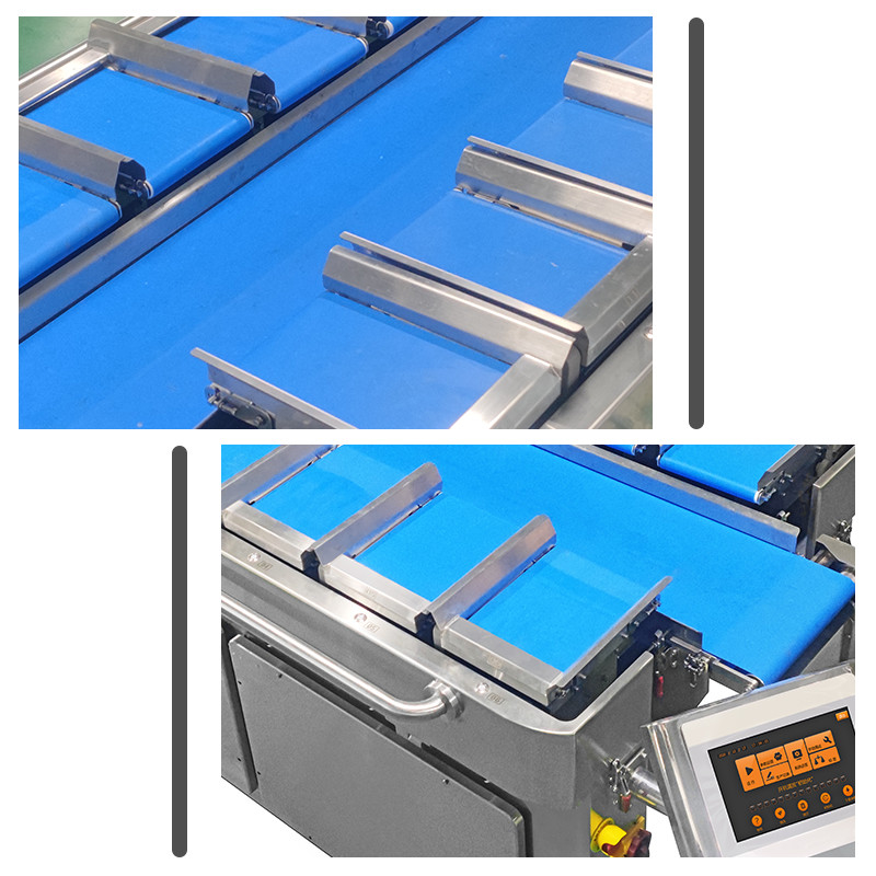 Sosis Asap Cina Semi-otomatis 12 Kepala Multihead Weigher Packing Machine Keringan Sosis Kemasan Mesin Bagging