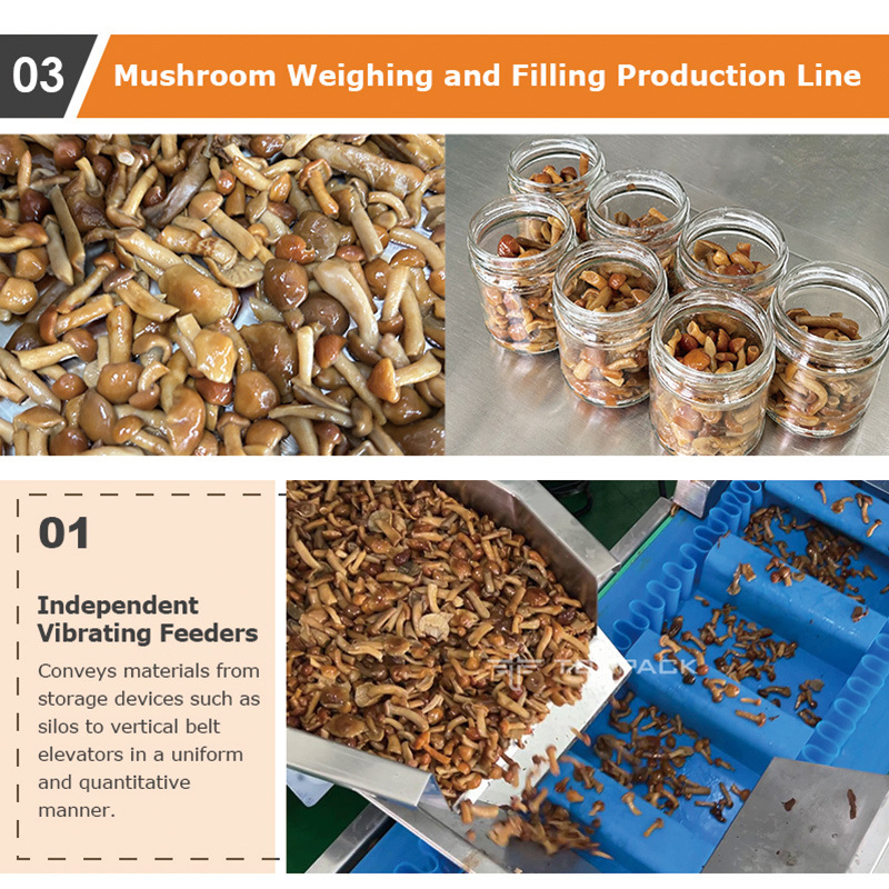 Mesin Pengemasan Piring Piring Daging Baru Mesin Pengemasan Multihead Penimbang cumi-cumi Udang Kerang Abalone Zipper Bag Mesin Pengemasan Otomatis