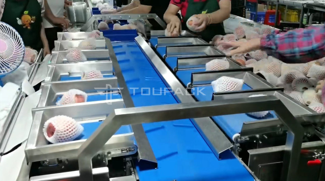 Pillow Roll Packing Machine Pear Apple Combination Weight Scale Fruit Combination Weigher Mesin pengemasan presisi tinggi