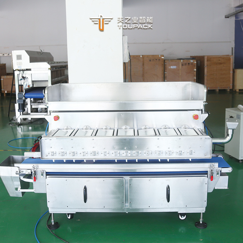 7-Head Linear Flipping Combination Weigher Packing Machine For Tilapia Fish Parrotfish Shell