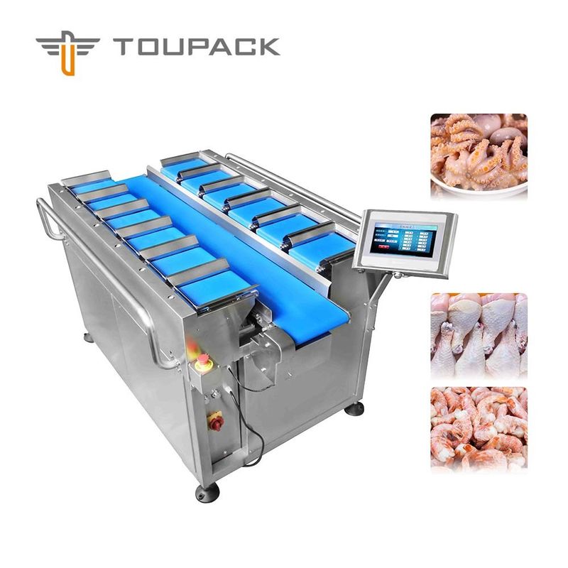 TOUPACK 12 Head 30WPM Belt Weigher System Conveyor Belt Weigher Untuk Makanan Laut