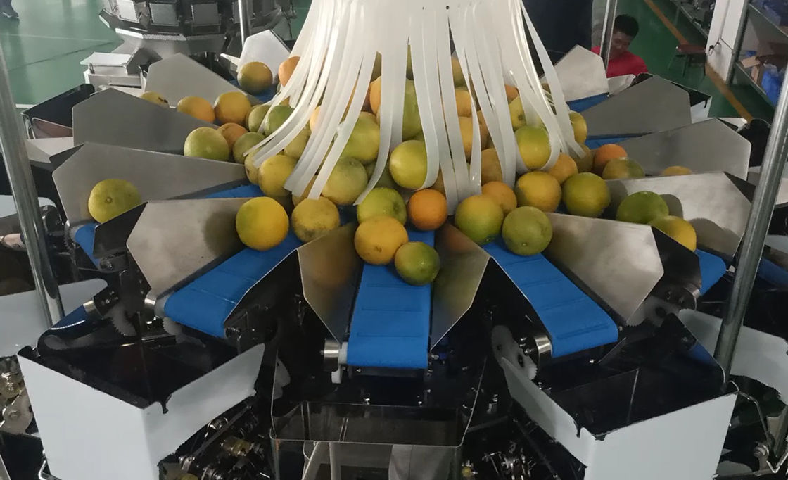 14 Head Multihead MCU / PLC Weigher Packing Machine Untuk Menimbang Buah Jeruk