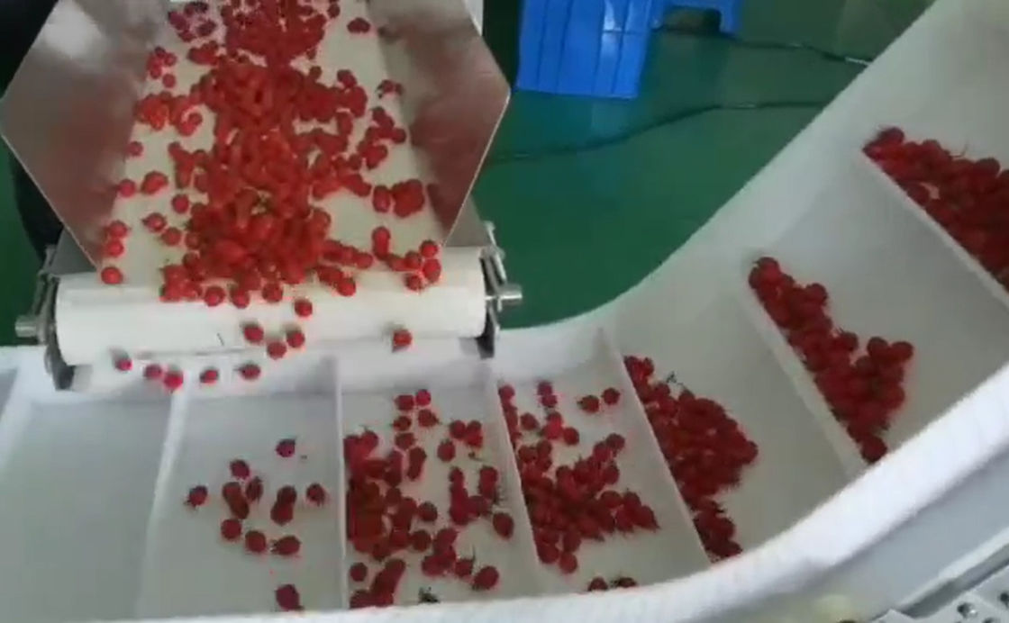 SUS304 Multihead Weigher Auto Weighing Dan Sistem Pengemasan Untuk Buah Beku Ceri Dalam Kotak