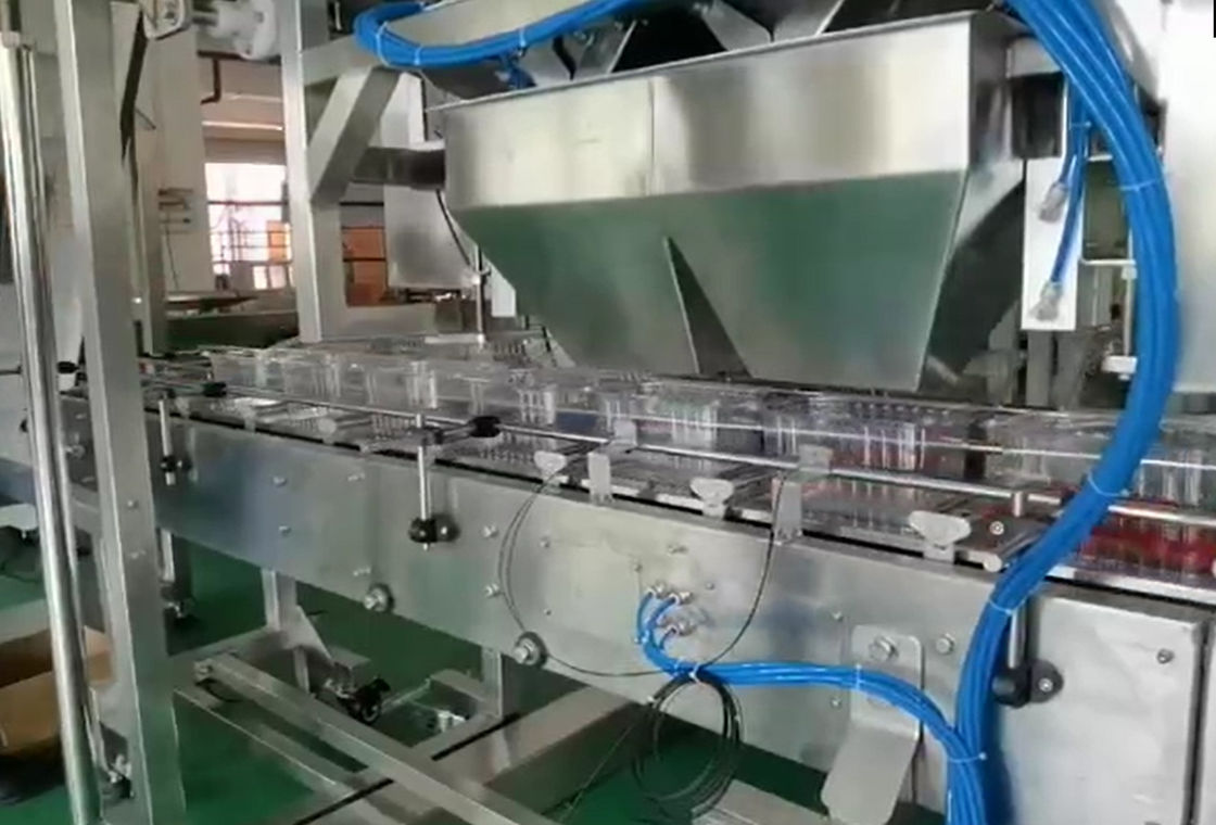 SUS304 Multihead Weigher Auto Weighing Dan Sistem Pengemasan Untuk Buah Beku Ceri Dalam Kotak