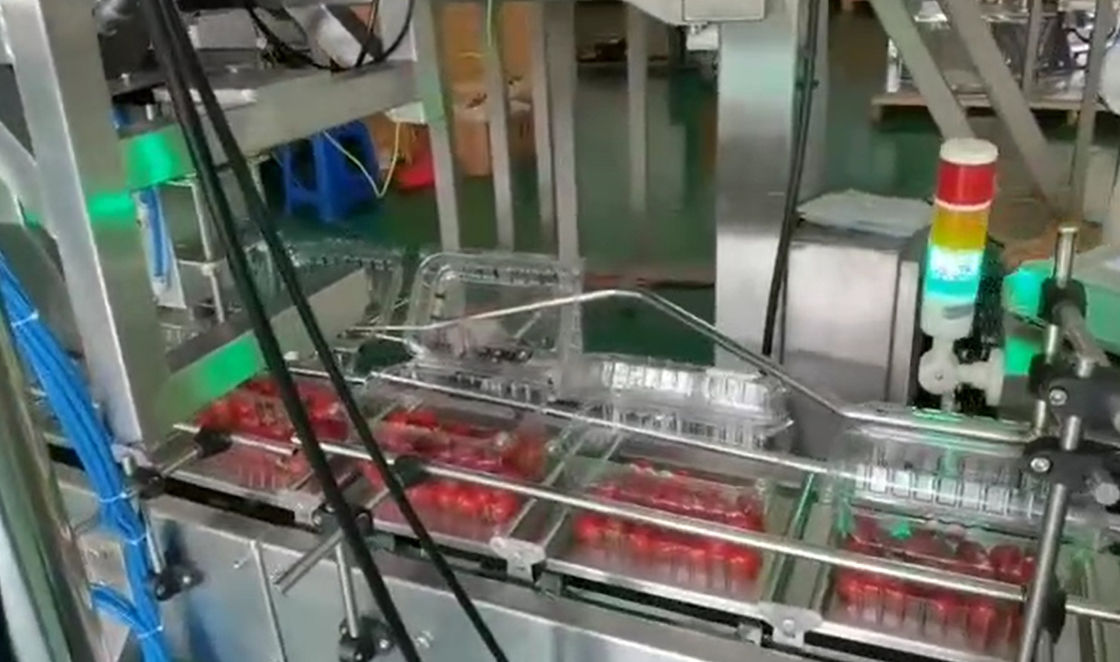 SUS304 Multihead Weigher Auto Weighing Dan Sistem Pengemasan Untuk Buah Beku Ceri Dalam Kotak