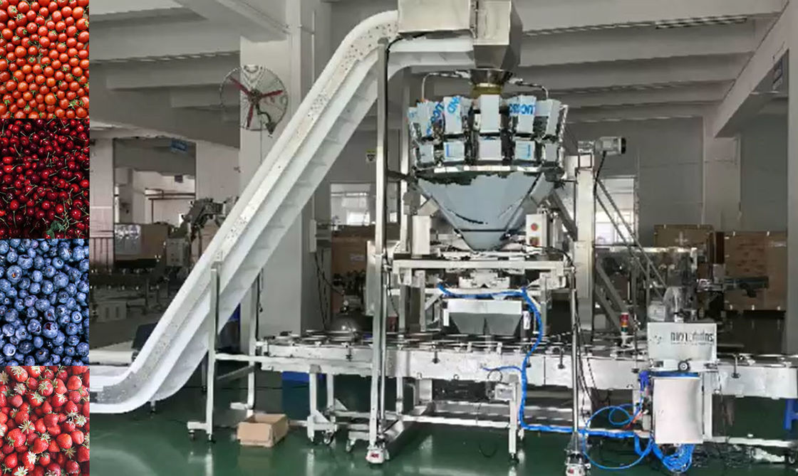 SUS304 Multihead Weigher Auto Weighing Dan Sistem Pengemasan Untuk Buah Beku Ceri Dalam Kotak