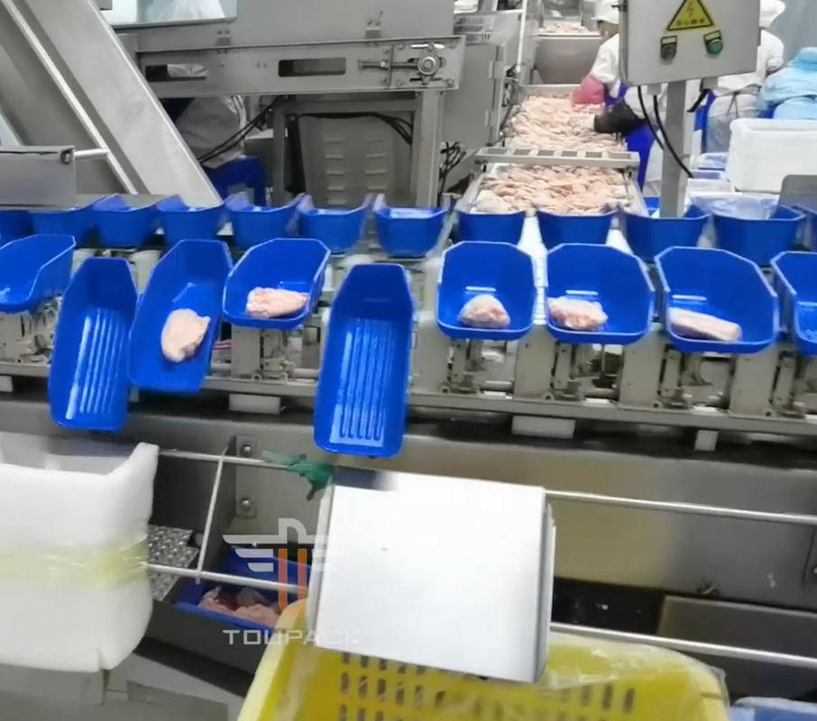 Safety Circular Multi Head Weight Sorting Machine Untuk Makanan Laut 300 Kali / Menit