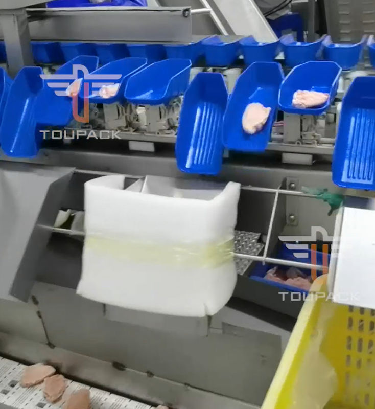 Safety Circular Multi Head Weight Sorting Machine Untuk Makanan Laut 300 Kali / Menit