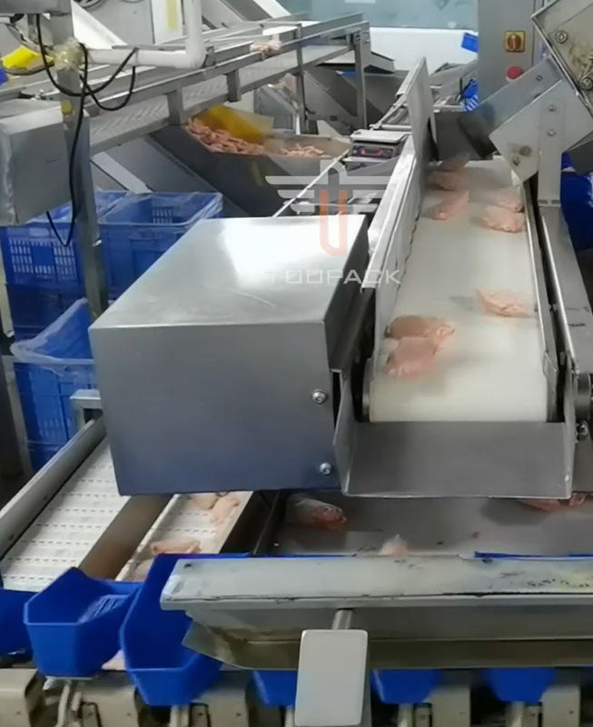 Safety Circular Multi Head Weight Sorting Machine Untuk Makanan Laut 300 Kali / Menit