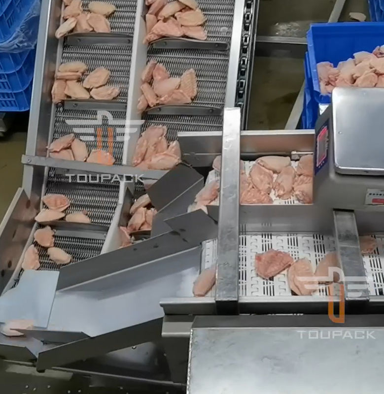 Safety Circular Multi Head Weight Sorting Machine Untuk Makanan Laut 300 Kali / Menit