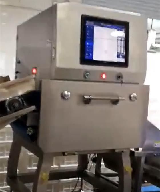 1 Sistem Inspeksi Makanan Microsievert / H X Ray Detektor SUS304 Untuk Kacang Keripik