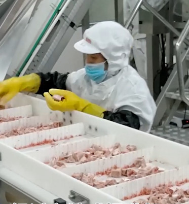 20 Bag / Min Multihead Weigher Packing Machine Untuk Produk Tulang Daging Es