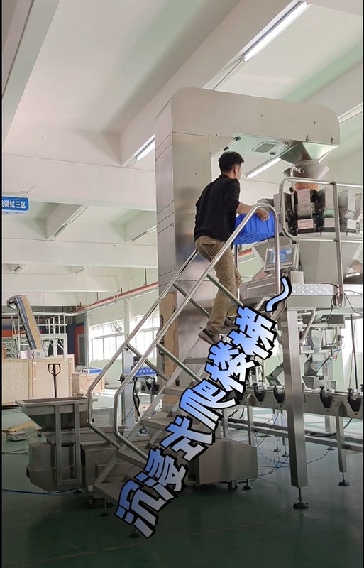 konveyor bucket miring Z stainless steel bekerja dengan timbangan multihead 10/14 kepala