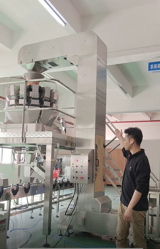 konveyor bucket miring Z stainless steel bekerja dengan timbangan multihead 10/14 kepala
