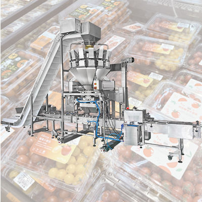 Cherry Tomat Blueberry Buah Segar Multihead Weigher Carton Box Filling Packing Machine