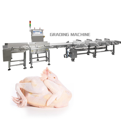 Mesin Sortasi Berat Otomatis PLC Mesin Grading Daging Utuh Ayam