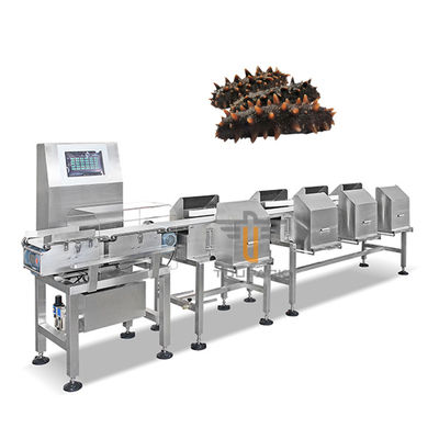 Mesin Sortasi Bobot Teripang Udang Ikan Automatic Conveyor Belt Grader Sorter Machine