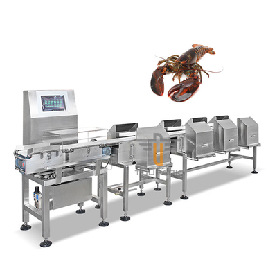 Mesin Sortasi Bobot Lobster Australia Akurasi Tinggi 2 Level 6 Mesin Grading Level