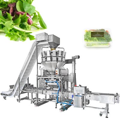 14 Ember Mesin Pengemasan Buah dan Sayuran Dengan Multihead Weigher