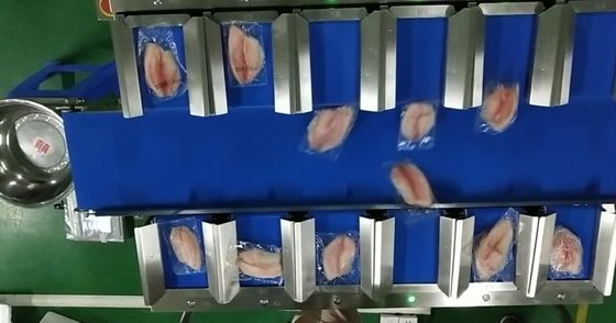 TOUPACK 12 Head 30WPM Belt Weigher System Conveyor Belt Weigher Untuk Makanan Laut