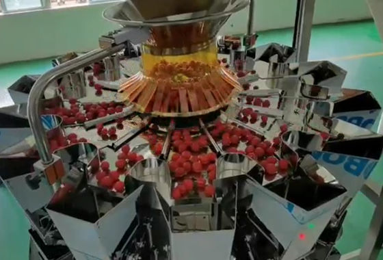 SUS304 Multihead Weigher Auto Weighing Dan Sistem Pengemasan Untuk Buah Beku Ceri Dalam Kotak