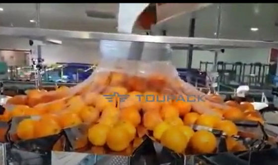Mesin Pengemas Buah Dan Sayuran Jeruk Otomatis Dengan Net