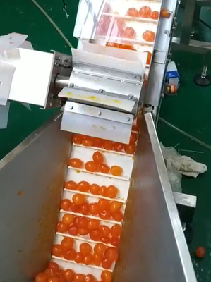 Mesin Pengemas Vakum Multi Weigher Yolk Sorting And Conveying Project