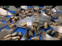 TOUPACK 14 kepala Multihead Weigher untuk ikan menimbang