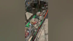 Lini pengemasan penimbangan campuran makanan burung dengan Timbangan Multihead 32 kepala