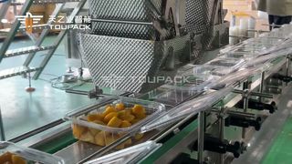 Timbangan Mangga & Tali Tinju Potong Dadu Otomatis | 50 Kotak/Menit | paket TOUP